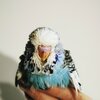 IMG_20201129_201215.jpg
