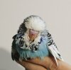 IMG_20201129_200836.jpg
