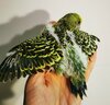 IMG_20201129_195411.jpg