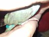 IMG-20201208-WA0001.jpg