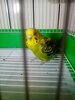 IMG_20201208_164056.jpg