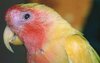 img20201212_14125835.jpg