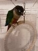 20201214_101735.jpg