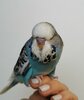 IMG_20201213_221202.jpg