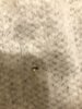A2EA2727-3601-4696-A163-17B4345D6EE8.jpeg