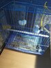 IMG_20200822_183903.jpg