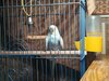 IMG_20200830_171423.jpg