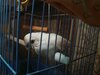 IMG_20200901_172520.jpg