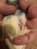 2020-12-25_002641.png