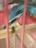 10A71187-B85D-4FFE-A649-76C9AE296B93.jpeg