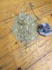 20201228_182726.jpg