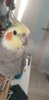 20201229_091538.jpg