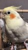 thumbnail_IMG_0489.jpg