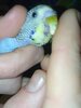 IMG_20210115_200717.jpg