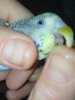 IMG_20210115_200701.jpg