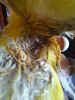 20210126_134049.jpg