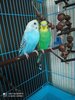 IMG_20210127_144045.jpg