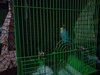 IMG_20210212_172248.jpg