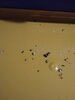 IMG_20210218_171814.jpg