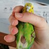новое.jpg