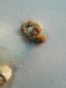 IMG_20210309_073612.jpg