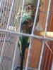 IMG_20210306_153116.jpg