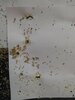 IMG_20210316_061802.jpg