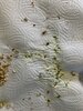 85817E59-AA0B-49C8-BC29-33203062FDDD.jpeg
