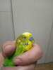 477A7F9B-3D68-4F02-BC6E-557AC6D8E96A.jpeg
