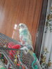 20210401_152235.jpg