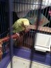 04 08 2й день дома2.jpg
