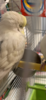 938FCD33-B59F-4B25-8604-17CE9D27F148.png