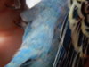 DSCN6558.JPG