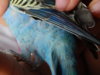 DSCN6559.JPG