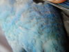 DSCN6560.JPG