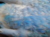 DSCN6561.JPG