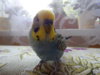 DSCN6566.JPG