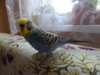 DSCN6568.JPG