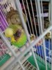 2016-03-14 16.40.21.jpg