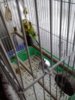 2016-03-14 16.41.12.jpg