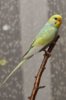 DSC_9288.JPG