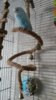 20160327_093611.jpg