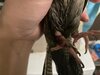 D7E7B720-5353-4480-BD00-3D2C0B173DAA.jpeg