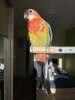 8F742C80-5842-45AB-A5B0-5C4A6BD5BA61.jpeg