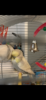 92679584-87E5-405C-BBE1-C50EED305FB4.png