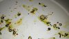 201103657_311022353827578_8770130022786758346_n.jpg