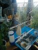 IMG-20210619-WA0056.jpeg