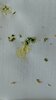 IMG-20210627-WA0002.jpeg