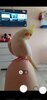 Screenshot_20210719-113309_Camera.jpg