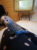 IMG_20210803_160723.jpg